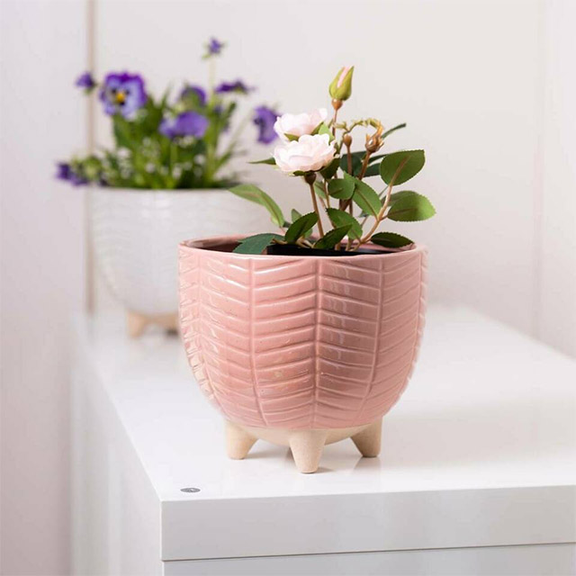 Sill & Sage Dream Pot with Legs